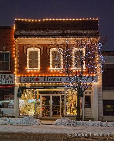 Holiday Lights_20352-7.jpg - Gemmell's Flower Shop photographed at Smiths Falls, Ontario, Canada.